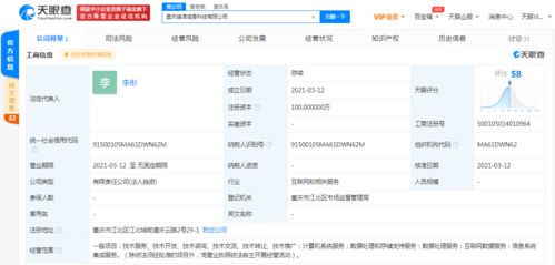 字節跳動關聯公司布局數據處理領域，投資成立新公司拓展數字化服務